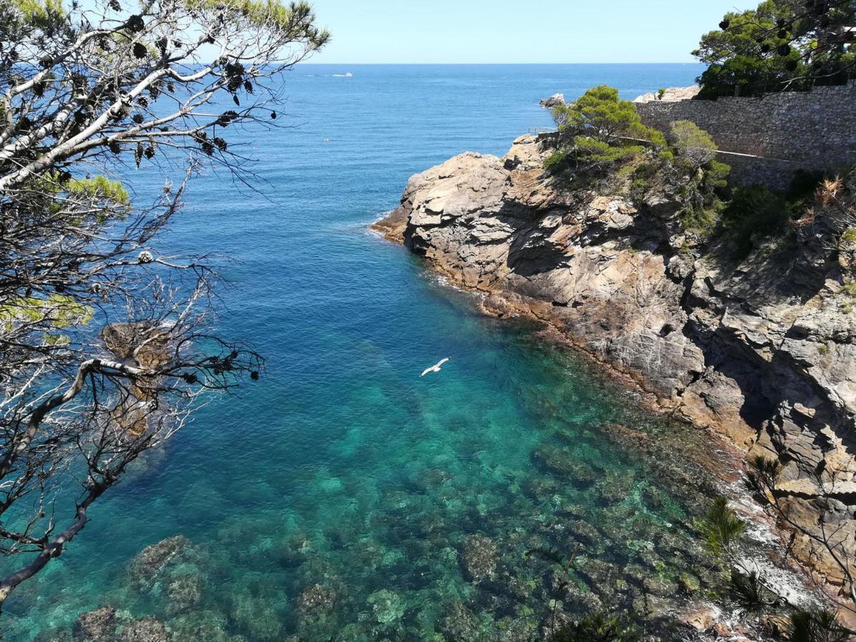 Domus Aurea Διαμέρισμα Palamós Εξωτερικό φωτογραφία