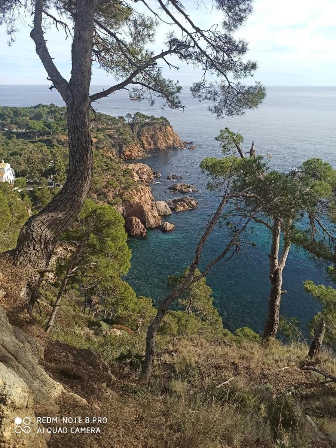 Domus Aurea Διαμέρισμα Palamós Εξωτερικό φωτογραφία